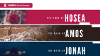 Hosea/Amos/Jonah (11 week series)